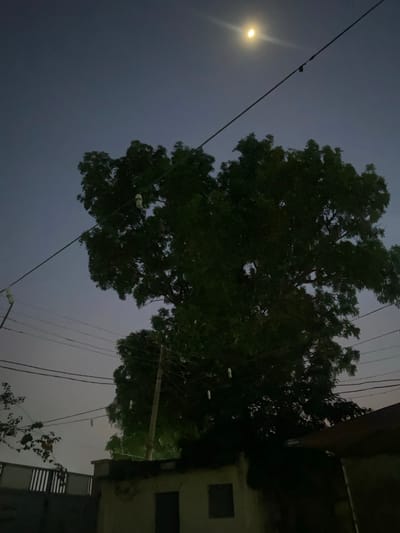 The image captures a dimly lit outdoor scene at dusk or night in Giginyu, Nigeria. A large tree with dark green foliage dominates the center of the frame, its branches reaching towards a hazy, deep blue sky. A crescent moon is visible in the upper portion of the sky, emitting a soft glow. Several utility wires crisscross the sky, some supporting what appear to be light bulbs, suggesting an outdoor lighting setup. In the foreground, the top of a dark-colored roof is visible on the right, and on the left, a section of a fence or gate with vertical slats is present. Below the fence, a low-lying structure with a dark opening, possibly a window or doorway, is partially visible. The overall impression is of a residential or semi-urban area at twilight, with natural elements like the tree and moon juxtaposed with man-made infrastructure. There are no people or animals clearly depicted in the image.
