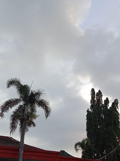 A cloudy sky dominates the scene, partially obscuring the sun. Two distinct tree types are present: a palm tree on the left and a cluster of tall, slender trees on the right. A red building with a tile roof is visible at the bottom, beneath the palm tree. A smaller palm tree can be seen next to the taller slender trees. The overall impression is one of overcast weather.