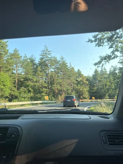 The image is taken from inside a vehicle, looking forward through the windshield. The view encompasses a winding road surrounded by dense pine forests under a clear blue sky. A dark-colored SUV is visible ahead on the road, driving away from the camera. There are yellow road signs indicating a curve. The foreground shows the dashboard of the vehicle. The scene appears to be on a road in or near Banya, Bulgaria, given the prevalence of pine forests in the region.