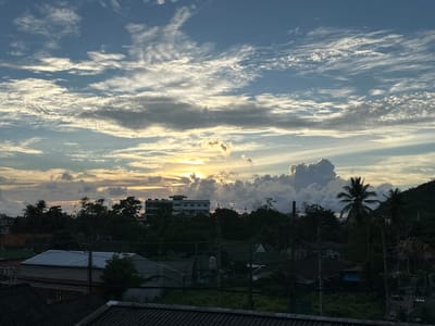 This is a landscape photograph of a tropical scene at sunset. The sky is filled with a dramatic display of clouds, ranging from wispy cirrus clouds to larger, more textured cumulonimbus formations. The sun is low on the horizon, casting a warm golden light that illuminates some of the clouds and creates a bright glow in the upper left quadrant of the image. The sky transitions from a clear blue at the top to softer tones of orange and yellow near the horizon.

Below the sky, a dense canopy of lush green trees dominates the middle ground, with palm trees visible on the right. Peeking through the trees are several buildings, including a multi-story white building with multiple windows, suggesting a town or village. In the foreground, the dark silhouettes of rooftops can be seen, with intricate wiring and utility poles adding to the urban feel. The overall impression is one of a tranquil, tropical evening in a populated area, with the natural beauty of the sky juxtaposed against the man-made structures. The time of day is clearly sunset, given the quality of light and the low sun. The weather appears to be partly cloudy, with dramatic cloud formations. There is no visible text in the image.