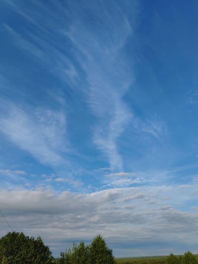 A vertical, wide shot captures a clear blue sky dominated by wispy, white cirrus clouds stretched horizontally across the frame. Below the expanse of the sky, a line of dark green trees forms the bottom edge of the image, with a sliver of a distant, darker green forested landscape visible on the horizon. The scene is devoid of any human presence or structures, presenting a natural landscape under a cloudy sky in the area of Чухлэм, Russia.