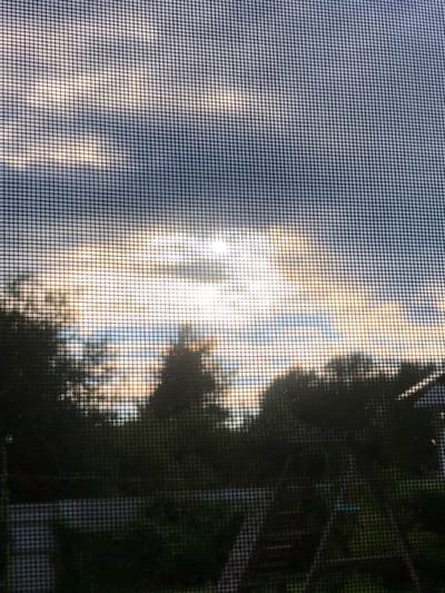 The image depicts a view through a window screen, looking out at a cloudy sky with the sun breaking through, casting a bright glow. Silhouetted trees and foliage are visible in the foreground, suggesting an outdoor scene. The overall impression is of a natural landscape, possibly during a sunrise or sunset. There are no people, actions, or interactions visible in the image. The location in Staroe Istomino, Russia is not indicated by any visual cues within the photograph itself.