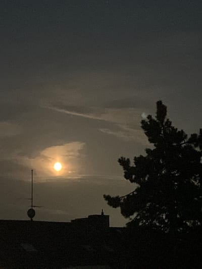 The image captures a nighttime scene in Düsseldorf, Germany, featuring a silhouetted cityscape with a bright, hazy celestial body, likely the moon or sun obscured by clouds, positioned in the upper left quadrant of the frame. A dark, dense tree with a discernible silhouette of branches and needles dominates the right side of the image. In the foreground, the dark outlines of buildings and a radio antenna with a circular dish are visible against the dimly lit sky. The overall atmosphere is dusky and atmospheric, with a faint glow emanating from the sky.