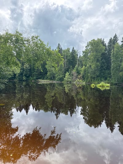The image shows a reflective body of water bordered by a dense forest under a cloudy sky. The water's surface mirrors the trees and the sky, creating a symmetrical effect. The forest consists of various deciduous and coniferous trees, with lush green foliage. The sky is overcast with grey clouds, suggesting a calm, perhaps humid, atmosphere. There are no people or animals visible in the frame. The scene appears to be a natural landscape, likely a lake or pond within a wooded area. The location is specified as Подолино Ст, Russia.