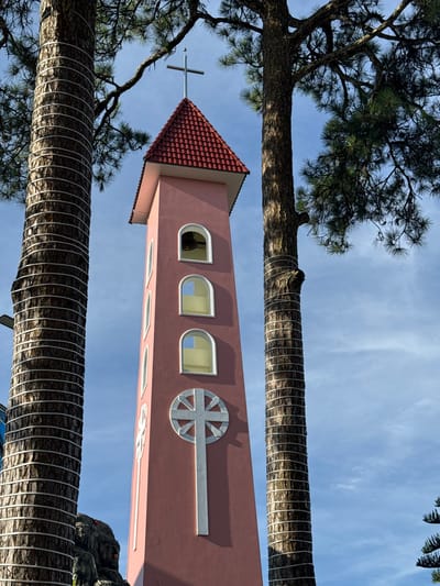 This is a low-angle, close-up shot of a pink church tower, possibly in Đa Thọ, Vietnam, framed by the trunks of two large trees. The trees have rough bark and are wrapped with white, circular bands. Pine needles are visible on the branches of the tree on the left. The church tower has a red tiled roof and arched windows. A cross is visible at the very top of the tower. A silver, circular emblem with radiating lines is mounted on the side of the tower. The sky is blue with some wispy clouds, suggesting it is daytime and likely fair weather. The scene appears tranquil and serene. No people or text are clearly visible.