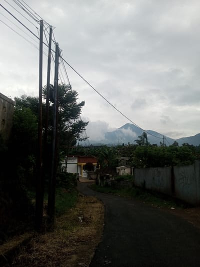 The image depicts a rural or semi-urban street scene, identified as being in Bhupalpally, India, under an overcast sky. In the immediate foreground on the left, a weathered light-colored wall is partially visible. Three dark utility poles stand prominently in the center-left, supporting multiple overhead wires that traverse the upper frame. The ground directly left of the road features dry, light-brown grass and some green weeds. A dark asphalt road curves from the lower center-right towards the middle-left, leading into the background.
In the midground, beyond the utility poles, dense green foliage and trees are visible. A light-colored building with a reddish-brown roof section and a yellow horizontal stripe is situated on the left side of the road. A sign on this building displays clearly legible Indonesian text: "YAYASAN MADRASAH ALIYAH PONDOK PESANTREN DS. PASIRAN". Further down the road on the right, a grey concrete or stone wall, marked with dark graffiti, runs parallel to the road, with a smaller white building behind it. The background is dominated by a large mountain range, with peaks partially obscured by low-hanging clouds or mist. No individuals or specific actions are visible within the scene.