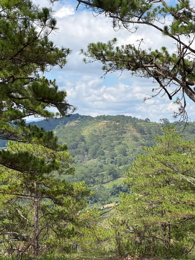 The image depicts a landscape scene in Păng Tiêng 1, Vietnam, with a view of a lush, green mountainside partially obscured by pine trees in the foreground. The sky is visible through the branches, revealing a partially cloudy day. A winding path can be seen on the mountainside, leading towards what appears to be a small cluster of buildings. The scene conveys a sense of natural beauty and a relatively remote or rural setting.