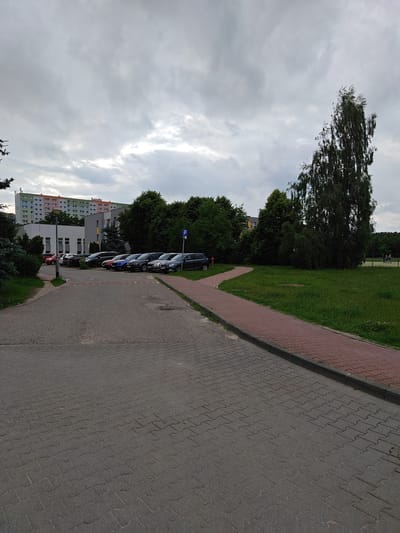 The image depicts a cloudy day in Poznań, Poland. In the foreground, a paved walkway made of gray interlocking stones leads to a parking lot filled with several cars. To the right of the walkway, a red brick path curves through a grassy area. In the background, a tall, slender tree stands prominently, its leaves rustling in the wind. Behind the tree, a multi-story apartment building with colorful facades is visible. The overall scene suggests a residential or public area on an overcast day.