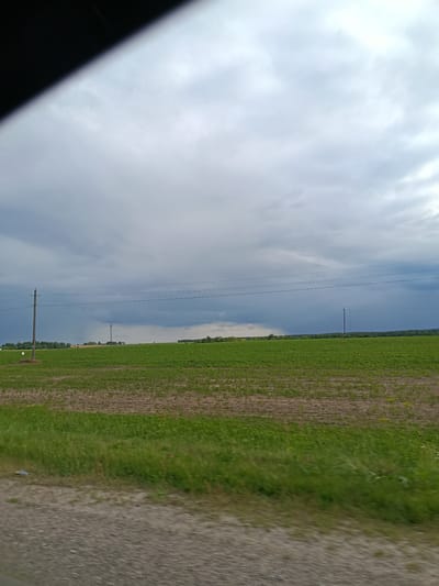 This is a landscape photograph taken from a moving vehicle, likely a car, as evidenced by the blurred foreground and the dark, angled shadow in the upper left corner that suggests a window frame or roof. The scene depicts a rural setting with a vast, cultivated field stretching across the midground. The field is a mix of young green crops and bare earth, indicating agricultural activity. In the background, a line of trees forms a dark green horizon, with a few distant buildings barely visible amongst them. Two utility poles with wires are prominent features in the midground, one closer to the left and another further to the right.
The sky is dramatic, dominated by heavy, grey storm clouds that occupy the upper half of the frame. There are patches of lighter sky visible, suggesting the storm may be moving or that breaks are occurring. The overall weather appears overcast and potentially rainy or recently rained upon. The time of day is not explicitly clear, but the diffused light suggests it is not midday. There is no visible text in the image. The overall mood is somewhat somber due to the storm clouds, but the expanse of the field and the distant horizon evoke a sense of open space and natural beauty. The location is Novozybkov, Russia.