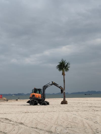 The image depicts a scene of landscaping or construction work on a sandy beach under an overcast sky. In the central mid-ground, a wheeled orange and black Doosan DX65R excavator is positioned next to a tall palm tree. The excavator's mechanical arm is extended and positioned near the trunk of the palm tree, suggesting it is either planting, adjusting, or providing support to the tree. The base of the palm tree is visibly wrapped in burlap or a similar protective material, indicating it has been recently moved or is being prepared for relocation.
The beach foreground consists of light-colored sand, marked by numerous tire tracks and disturbances, suggesting recent vehicle activity. In the background, calm, grey-blue sea water extends to a horizon lined with numerous dark, mist-shrouded karst formations or islands, characteristic of the Ha Long Bay area. Several boats are visible on the water, including a distinct barge-like vessel further to the right and smaller, distant specks.
The sky is uniformly overcast with heavy grey clouds, indicating a lack of direct sunlight. No people are visible in the immediate vicinity of the excavator or palm tree. A red sign is partially visible on the far left of the beach, but its text is unreadable. The scene conveys an ongoing transformation or development of the coastal landscape.