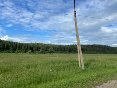 This is a medium shot, eye-level, horizontal outdoor photograph captured on a sunny day with scattered clouds. The image depicts a pastoral scene in Russia. In the foreground, a concrete utility pole stands on the right side, leaning slightly and supporting overhead wires. The ground is covered in lush green grass and wildflowers. Beyond the pole, a vast, flat meadow stretches towards a dense forest line. The forest is a mix of tall evergreen trees, with lighter green deciduous trees and bushes in front of them. A single, large deciduous tree stands in the middle of the meadow, casting a shadow. A bright yellow marker post is visible in the meadow to the left of the large tree. The sky is a vibrant blue, filled with fluffy white and grey clouds, suggesting a partly cloudy day. The overall impression is one of a peaceful, rural landscape under a bright sky.