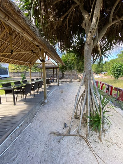 A person is seated at a table in a covered outdoor dining area on a sandy surface in Nusa Penida, Indonesia. The dining area features a thatched roof supported by bamboo poles, with a wooden deck running alongside. Several tables with chairs are arranged under the roof, and a longer table with chairs is set up on the deck. A large tree with prominent aerial roots stands to the right of the frame, casting shadows on the sand. In the background, there is a stone wall, vegetation, and what appears to be a road with vehicles. The scene is bathed in sunlight, suggesting it is daytime.