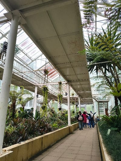 A tilted view captures a greenhouse interior with a walkway. People are walking down the tiled path, right side of the frame. Lush greenery and hanging plants thrive on either side. A white metal structure supports a glass roof, allowing natural light to flood the space. The scene conveys a vibrant botanical environment.