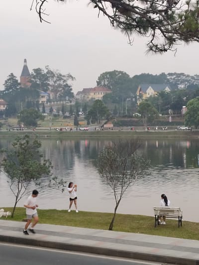 The image depicts a daytime scene in Thành phố Đà Lạt, Vietnam, featuring Xuân Hương Lake under an overcast sky. In the immediate foreground, a grey asphalt road is visible, bordered by a sidewalk composed of grey and reddish-brown striped pavers. Above this, a strip of green grass extends to the lake's edge.

On the near side of the lake:
- To the left, a male subject, wearing a white t-shirt, grey shorts, and dark athletic shoes, is jogging from left to right. A small, white, fluffy dog is visible on the grass to his left.
- In the center-right, a female subject, dressed in a white t-shirt, dark shorts, and white athletic shoes, stands facing the lake. She holds a small orange device, possibly a camera or phone, up with both hands, appearing to capture an image or video.
- To the far right, another female subject, wearing a white top and dark shorts with white athletic shoes, is seated on a white-painted wooden park bench, facing away from the camera and towards the lake.
- A slender, bare-branched tree stands on the grass between the jogging male and the seated female.

The lake surface is calm with slight ripples, reflecting the light grey sky and distant elements. On the far side of the lake, a paved road is visible with several vehicles, including motorcycles and cars, and indistinct pedestrians. Beyond this road, a landscaped area with grass and numerous trees extends, featuring distant buildings. A sign partially visible reads "ĐÀ LẠT HOA." In the background, rolling hills are covered with dense trees and various structures, including a prominent building with a dark, conical spire, characteristic of Dalat architecture, likely part of the Dalat Pedagogical College. Pine tree branches with needles and cones frame the top of the image.
