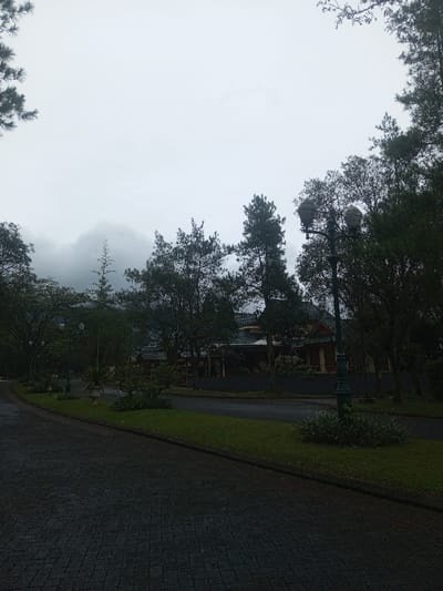 This image captures an outdoor scene in Babaliya Mal., India, under an overcast sky. The foreground features a dark, wet-appearing paved pathway constructed from interlocking pavers, curving from the lower-left towards the center-right. Adjacent to the path, a manicured grass strip is visible, edged by a dark curb. A dark green decorative street lamp with two covered luminaires stands on this grassy median in the lower-right. Several similar lamps recede along the left side of the paved path. Various ornamental plants, some contained in large urns, are distributed throughout the landscaped areas.

The midground is densely populated with dark green trees, including tall, slender evergreens and broader types, which line the pathway and partially obscure the background. Behind these trees, towards the center-right, a building complex is discernible. It exhibits a distinctive architectural style, characterized by dark, possibly green-tiled roofs with pronounced eaves and multiple gables. The building's walls appear to be reddish-brown or dark wood-toned, with some lighter, possibly beige, sections visible below the roofline. A low, dark wall or fence fronts the building.

In the far background, a range of hills or mountains is visible, largely obscured by heavy grey clouds and mist, contributing to the overall dim and diffused lighting. No individuals, animals, actions, or interactions are present within the scene. The environment appears damp and tranquil, consistent with an overcast day.