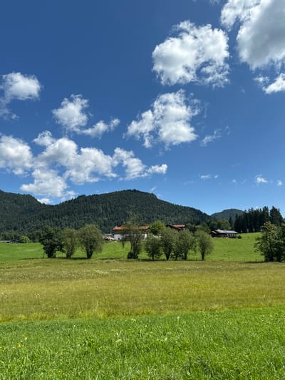 This image depicts a sunny day in Bischofswiesen, Germany, characterized by a vibrant blue sky filled with scattered white clouds. In the foreground, a lush green meadow stretches across the frame, transitioning to a patch of taller grass with scattered wildflowers in the mid-ground.

Further back, a line of deciduous trees stands against a backdrop of rolling green hills. Beyond the trees, several buildings with red roofs are visible, nestled within the landscape. These buildings appear to be farmhouses or rural residences.

The furthest background is dominated by a dense forest covering a large, imposing mountain. The overall impression is one of a serene and picturesque rural setting, typical of the Bavarian Alps. No people or animals are discernible in the image.