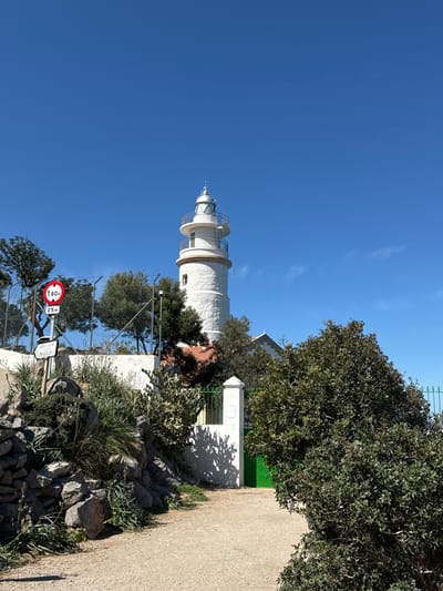 The image displays the Faro de Sóller (Sóller Lighthouse) in the city of Sóller, Spain, under a clear blue sky. The central subject is a white, cylindrical lighthouse featuring a multi-tiered top section with an external spiral staircase and a conical, silver-hued lantern room. It is positioned on elevated terrain, surrounded by dark green trees and dense shrubs.

A light-colored gravel path extends from the lower foreground, curving towards the background and the lighthouse complex. To the left of the path, a mound of grey rocks and various succulents are present. A red circular sign, edged in white, with a central white bar displaying "1.90m" and "25m" in black text, is mounted on a pole to the left. Below this, a smaller rectangular white sign reads "MULETES / FARO SOLLER" in black lettering.

Further left, a chain-link fence topped with barbed wire runs behind the signage and vegetation. On the right side of the path, a white masonry wall with a square pillar abuts a bright green metal gate, with a corresponding green metal fence extending beyond. Shadows are cast onto the white wall and green gate, indicating bright sunlight. A building with a terracotta-tiled roof is partially visible behind the base of the lighthouse, and another white building with a pitched roof appears further to the right, mostly obscured by foliage. The sky is a uniform deep blue, with only faint, wispy clouds near the distant horizon. No people or overt actions are depicted.