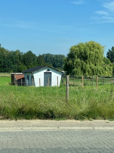 The image shows a small, white, rectangular building with a black roof and a grey door. The building has two windows on the left side and a ventilation opening on the right side of the door. It is situated in a grassy field, enclosed by a wire fence supported by wooden posts. To the left of the white building, there is a smaller, brown shed. Behind the buildings, a dense line of trees forms a backdrop, with a large, weeping willow tree to the right of the white building. The sky is clear and blue with a few wispy clouds. In the foreground, tall, dry grass lines the edge of a paved walkway and road. The scene appears to be in Meerbeek, Belgium, based on the provided location context. There are no people or animals visible in the image.