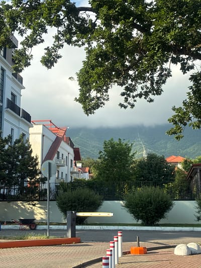 The image depicts a street scene in Gelendzhik, Russia, featuring modern multi-story buildings with balconies, red-tiled roofs, and white facades. Lush green trees frame the upper portion of the image, with their branches extending into the foreground. In the middle ground, a black metal fence runs along a light-colored wall, with manicured green bushes interspersed along its length. A barrier gate for vehicle access is visible in the lower-middle section of the image. A red wheelbarrow with a black basin is situated to the left, near the fence. The background reveals a majestic mountain range partially obscured by clouds. The ground is paved with reddish-brown interlocking bricks, and a portion of the road is visible. White and red striped bollards are arranged along the edge of the pavement. The lighting suggests it is daytime, with diffused sunlight.