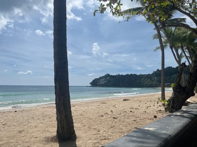 The image depicts a tropical beach scene in Kamala, Thailand. In the foreground, a large palm tree trunk stands on the left side of the frame, partially obscuring the view of the sandy beach. The sand is light brown and scattered with dried leaves and a few small coconuts. To the right, a dark, low concrete barrier runs along the edge of the beach, casting a shadow. Beyond the barrier, several palm trees with green fronds are visible, some arching over the beach.
The middle ground features the calm, turquoise ocean with gentle waves rolling towards the shore. The water is clear enough to see the sandy seabed near the shore. In the background, a lush green hillside rises, covered with dense tropical foliage. Several white buildings with red-tiled roofs are nestled amongst the trees on the hillside, suggesting a residential or resort area. The sky is blue with scattered white, puffy clouds, indicating a sunny day. The overall impression is of a peaceful, scenic beach location.