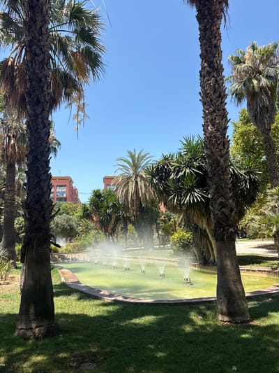 This is a full-frame, eye-level, vertical photograph of a park in Valencia, Spain, on a clear, sunny day. The foreground is dominated by the textured trunks of two mature palm trees, their fronds reaching out of frame.
The middle ground features a large, oval-shaped lawn area with a shallow, green-water pond in its center. A sprinkler system is actively watering the lawn, creating a fine mist that catches the sunlight. Several sprinklers are visible, some emitting water jets.
In the background, lush green trees and foliage line the edges of the park. Beyond the trees, two multi-story buildings with reddish-orange facades and white window frames are visible. These buildings suggest an urban park setting.
The time of day appears to be midday, given the bright sunlight and the shadows cast by the trees. The weather is clearly warm and pleasant, indicated by the clear blue sky and the active watering of the grass. There is no visible text in the image. The overall mood is serene and relaxing, typical of a well-maintained park on a beautiful day.