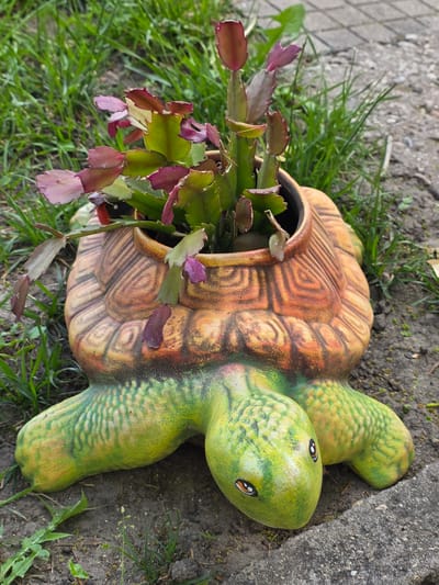 A high-angle outdoor shot shows a turtle-shaped planter on the ground, filled with a plant. The planter's shell is brown and orange with carved lines resembling shell segments, and the head and legs are green with yellow markings. A plant with dark green stems and red-tinged leaves is growing from the planter's opening. The planter sits on grass and soil, close to a gray concrete surface. The scene appears to be in a garden or similar outdoor setting. The location of the image is Yagodovo, Bulgaria.
