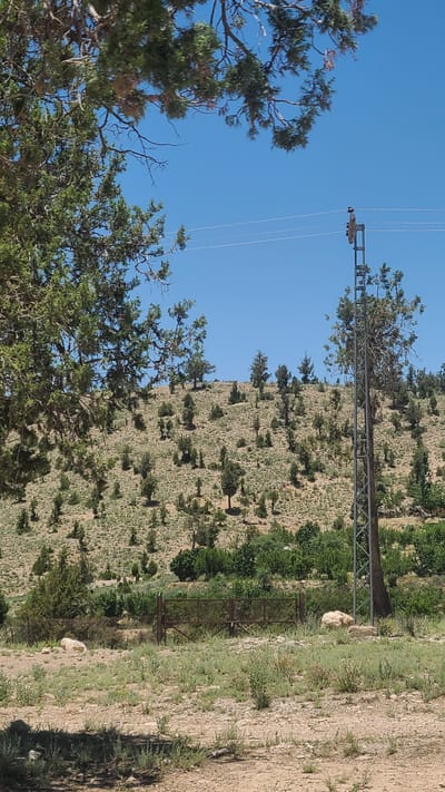 The image shows a landscape, potentially in a mountainous region near Ziarat, Pakistan. The sky is clear blue. A metal utility pole with attached wires stands in the foreground, near a slope covered in sparse vegetation and trees. A section of metal fence is visible on the right side of the frame, near the ground. A portion of a tree with dense green foliage is visible in the bottom left corner. The ground is arid.