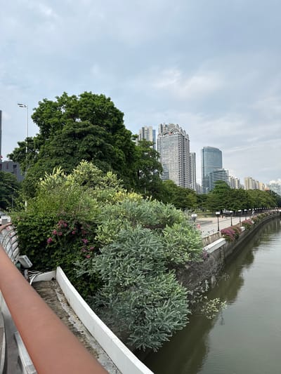 The image captures a waterfront scene in Tianhe District, China, under an overcast sky. A wide, calm body of dark water runs along the right side of the frame, reflecting the overcast sky and the lush vegetation on its bank. A concrete embankment lines the water's edge, topped with a paved walkway. This walkway is bordered by a row of flowering bushes with purple blooms and streetlights. To the left of the walkway, a variety of green trees and bushes are densely planted, with a large, mature tree dominating the left mid-ground. In the background, a cluster of modern skyscrapers rises, featuring varied architectural designs and a distinctive building with a patterned facade. The foreground shows a reddish-brown railing of a bridge or elevated walkway, and a white concrete barrier. There are no people clearly visible in the immediate foreground, but a few figures can be faintly discerned on the distant walkway, suggesting pedestrian activity. The overall impression is of an urban green space integrated with city architecture along a waterway.