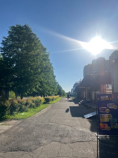 The image depicts a sun-drenched street scene in Zheleznogorsk, Russia, likely during a clear, bright day. The sun is prominently visible in the upper left quadrant, casting strong rays and lens flare across the frame. A sidewalk runs along the right side of the image, bordered by a strip of green grass and lush trees. To the left, a row of buildings lines the street, featuring architectural elements that suggest shops or residential apartments.

A large advertising banner is displayed near the buildings, featuring colorful graphics and Russian text. The visible text includes "ШОК ЦЕНЫ!" which translates to "Shock Prices!", indicating a sale or promotion. Specific product names and prices are also legible, such as "НУРОФЕН 123 Р 99 р", "Зодак 125", "Bionorica 1000", and "Канефронт № 599 р".

A person is walking on the sidewalk, casting a shadow, and further down the street, another individual is visible, also walking. The overall atmosphere is one of a typical urban environment on a sunny day, with commercial activity implied by the advertising banner. The dense foliage of the trees suggests it is likely summer or late spring.
