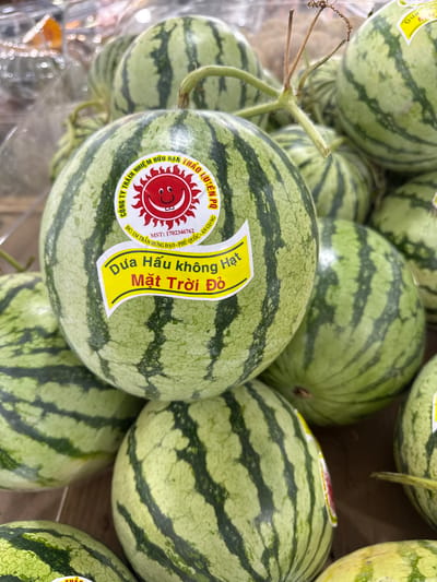 The image shows a close-up of several small, striped watermelons piled together. A yellow label is affixed to one of the watermelons, featuring a red logo of a sun with a smiling face and the words "Dưa Hấu không Hạt Mặt Trời Đỏ" (Seedless Watermelon Red Sun). Below the logo, smaller text reads "CÔNG TY TRÁCH NHIỆM HỮU HẠN THÁO QUYEN" and "MST: 1702346762 ĐC: 134 TRẦN HƯNG ĐẠO - PHÚ QUỐC - AN". The location indicated on the label is Phú Quốc, a city in Vietnam.