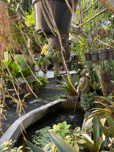 This image depicts an outdoor garden area, likely a restaurant or cafe, located in Banguntapan, Indonesia. The scene is lush and green, filled with various plants, including large leafy plants, hanging ferns, and potted orchids. In the foreground, a concrete water feature contains dark water with submerged green plants. A small fountain streams water into the feature. To the right of the water feature, a stone statue of a child is positioned, with a small black object resembling a mobile phone attached to its waist. The statue is also adorned with what appear to be small, light-colored spheres hanging from its head. In the background, a covered seating area with wooden beams and a thatched roof is visible, and a person wearing a red shirt and dark pants is seated at a table. The garden is characterized by its natural, somewhat wild aesthetic, with many plants hanging and growing in various containers, including black plastic pots. The lighting suggests it is daytime, with sunlight filtering through the foliage.