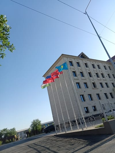 The image shows a building with multiple flags in front of it. The building is a light-colored, multi-story structure with numerous windows. Several flags are displayed on flagpoles, including the flags of Kazakhstan, Russia, and Uzbekistan. To the left of the building, there is a tree with green leaves. In the background, there are other buildings, a road, and a parked black car. The sky is clear and blue. The overall scene suggests an official or governmental building. This location is likely in Shymkent, Kazakhstan, given the presence of the Kazakh flag.