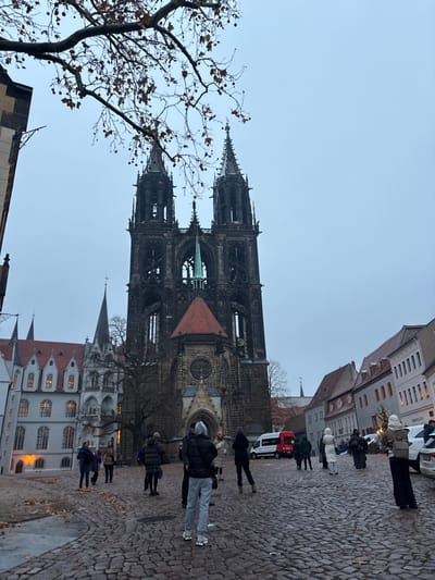 The image captures a cobblestone square in Meissen, Germany, prominently featuring the Meissen Cathedral and Albrechtsburg Castle under an overcast, light grey sky. The Meissen Cathedral, a dark stone Gothic structure, stands centrally in the background, characterized by its twin spires with intricate detailing, a prominent green central spire, and a lower section topped with a reddish-brown tiled roof. To the left of the cathedral is Albrechtsburg Castle, a multi-story building of lighter stone with numerous gabled roofs, dormer windows, and pointed turrets; interior lights are visible in some of its windows. A row of multi-story buildings with varying facades lines the right side of the square.
The ground consists of dark, irregular cobblestones, showing scattered brown leaves and indications of dampness. Approximately 15 to 20 individuals are present in the mid-ground and foreground, primarily clustered or walking on the cobblestones. All are dressed in heavy winter clothing, including coats, jackets, and hats, consistent with cold weather. Their actions appear observational or casual. One individual in the immediate foreground, with their back to the camera, wears a grey hoodie and grey sweatpants. A large, deciduous tree branch with bare twigs and dark seed pods extends across the upper left portion of the frame. A white van with red accent markings is parked on the right side of the square, with portions of two other white cars visible further right. The scene is illuminated by dim, ambient light, suggesting low light conditions.