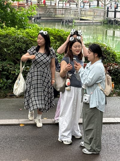 Three women pose for a picture near a body of water. The woman on the right has dark hair and is wearing a light blue shirt, beige backpack, green pants, and white shoes. The woman in the middle has panda bear clips in her hair, is wearing a gray shirt, white pants, white shoes, and a beige purse. The woman on the left also has panda bear clips in her hair, and is wearing a black and white checkered dress, white purse, white socks and white shoes. They are standing in a park on the side of a concrete walkway. The park has lots of green trees and bushes. In the background is a body of water with a metal structure. This is most likely in the Jiulongpo District of Chongqing, China.