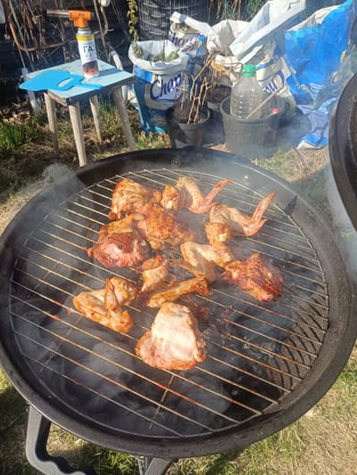 The image shows a charcoal grill with chicken cooking on it. The chicken pieces include wings and thighs. Smoke is rising from the grill.
In the background, there is a small blue table with a blue cutting board and a can of gas on it. There are also white and blue bags of what appears to be fertilizer, a black bucket containing a water bottle, and potted plants.
The location is in a grassy area, presumably outdoors in Pesochny, Russia.
