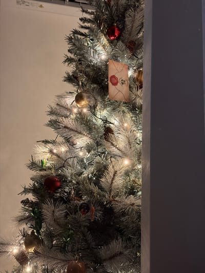 A close-up, vertical shot captures a portion of a decorated Christmas tree against a plain, beige wall. The tree, possibly artificial due to its uniform frosted appearance, is adorned with warm white string lights, red baubles, golden ornaments, pinecones, and a unique parchment-style ornament featuring a red wax seal with a crest. The ornament appears to be a letter, possibly a prop related to the Harry Potter franchise. The right side of the image is obscured by a dark, solid vertical column, likely a structural element or furniture. The overall lighting suggests an indoor setting, possibly a living room or a communal space. The city of Kalocsa, Hungary is not visible in this image, nor are there any people. The scene is static and decorative.