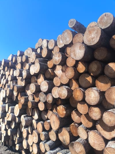 A large stack of cut logs is piled high against a clear blue sky. The logs are various sizes and have rough, bark-covered exteriors and clean, circular cuts at their ends, revealing the wood grain. The stack is densely packed, with logs positioned horizontally and at angles, creating a textured, three-dimensional surface. The sunlight casts shadows on some of the logs, highlighting their cylindrical shapes and rough textures. This scene appears to be a logging or lumber storage area, potentially near a forest or processing facility. The specific location in Syktyvkar, Russia, is not discernible from the visual information provided in the image.