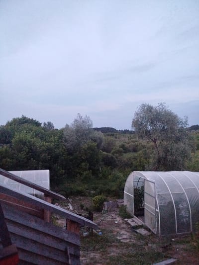 This media file shows a rural scene in Zavodoukovsk, Russia, likely in the late afternoon or early evening given the soft, diffused light and the overcast sky. The setting is a garden or dacha, with two greenhouses prominently featured. One greenhouse is in the foreground, open with a glimpse of greenery inside. The other, further back and to the left, is closed and partially obscured by a wooden structure in the immediate foreground. This wooden structure appears to be part of a shed or deck, with weathered planks and supporting beams.
Behind the greenhouses, a dense line of trees and bushes forms a natural backdrop. The foliage is lush and varied, suggesting a temperate climate with established vegetation. A large, mature tree with a spreading canopy stands to the right of the frame, its leaves appearing silver-green in the dim light. The overall impression is one of peaceful, domestic agriculture, possibly at the end of a day's work. There are no people visible in the image. The weather appears calm, with no strong winds indicated. No text is visible in the media file.