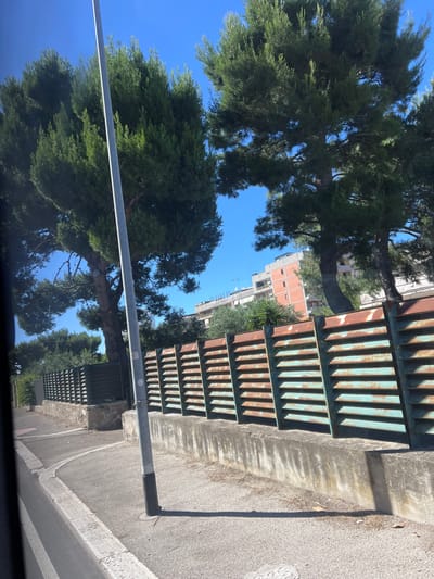 The image, captured in Bari, Italy, depicts a bright daytime scene combining natural greenery with urban infrastructure. A significant portion of the left and center of the frame is filled by the dense, dark green foliage of several large evergreen trees, possibly pines or cypresses, silhouetted against a clear, vibrant blue sky.
On the right side, a substantial metal fence or barrier extends horizontally, characterized by alternating vertical slats of weathered green paint and rusty brown, suggesting age and exposure to the elements. Beyond this fence and peeking through the tree branches, several buildings are visible. One prominent structure in the mid-ground features reddish-orange walls with white accents, indicative of Mediterranean architectural styles. Further in the background, another lighter-colored building is partially obscured by foliage.
A paved asphalt road or street occupies the lower right section of the image, bordered by a concrete curb. A tall, slender metal pole, likely a lamppost or utility pole, stands vertically in the mid-ground, extending upwards from the lower edge of the visible scene. Strong, direct sunlight illuminates the entire scene, casting distinct shadows on the ground and parts of the fence, typical of a clear morning or afternoon. There are no individuals or discernible activities taking place, presenting a tranquil, static view of an urban or suburban street. No visible text is present within the image.