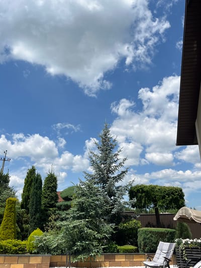The media file shows an outdoor scene on a sunny day with fluffy white clouds against a bright blue sky. The perspective is looking upwards, with the ground level and a garden visible in the lower half of the image.

The garden features a variety of coniferous trees and shrubs, with a range of green hues from deep forest green to lighter, silvery-green. Some trees are tall and slender, while others are more rounded and sculpted. A brick patio or wall is visible on the right side of the image, composed of tan and brown rectangular bricks. A black metal railing runs along the top of the brickwork. A chair with a light-colored cushion and a striped back is positioned on the patio, suggesting a seating area. A portion of a beige outdoor umbrella or canopy is visible at the top of the frame.

In the background, a dark brown, textured wall, possibly a fence or the side of a building, runs horizontally across much of the image. A part of a dark brown roof structure is also visible at the very top left. A utility pole with some wires is visible in the lower right portion of the frame, indicating a residential or developed area.

The overall impression is a well-maintained garden on a clear, pleasant day. There is no visible text in the media file. The location is identified as Koroviia, Ukraine.