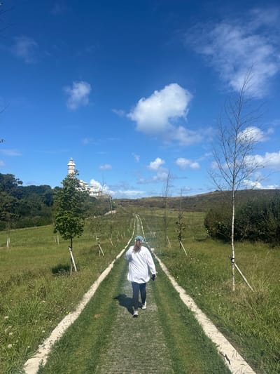 A female subject, viewed from behind, walks along a textured, narrow pedestrian path flanked by concrete borders. She wears a white long-sleeved shirt, dark leggings, athletic shoes, and a light blue cap, holding a dark object in her left hand. The path, cutting through an expanse of green grass, ascends towards the distant horizon. Young trees, some deciduous and others bare-branched, are planted intermittently along the path, secured by stakes. To the left, a dense line of mature trees borders the scene. To the right and in the background, rolling hills covered in sparse, dry vegetation are present. The sky is bright blue with scattered white cumulus clouds. In the far distance, positioned on a hilltop to the left, is the Faro de Cabo Mayor (Cabo Mayor Lighthouse), a multi-level, cylindrical, light-colored structure. The location depicted is the area around Cabo Mayor Lighthouse in Santander, Spain.