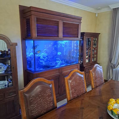 The image depicts an indoor dining room scene. The focal point is a large, custom-built wooden cabinet that houses a significant aquarium illuminated with blue light. Several fish are visible within the aquarium, swimming amongst coral and rock formations. To the left of the aquarium, a glass-fronted cabinet displays porcelain dishes and glassware. To the right, a smaller wooden cabinet contains bottles of liquor, suggesting a bar area. In the foreground, a polished wooden dining table is visible, with two ornate leather-upholstered chairs placed at it. A decorative fruit bowl with yellow citrus fruits sits on the table. The walls are painted a warm yellow, and a beige curtain hangs on the right side of the room. The ceiling features white crown molding and a smoke detector. The overall impression is one of a well-appointed and somewhat formal dining space. No people are present in the image. The provided location of Tairove, Ukraine, is noted.