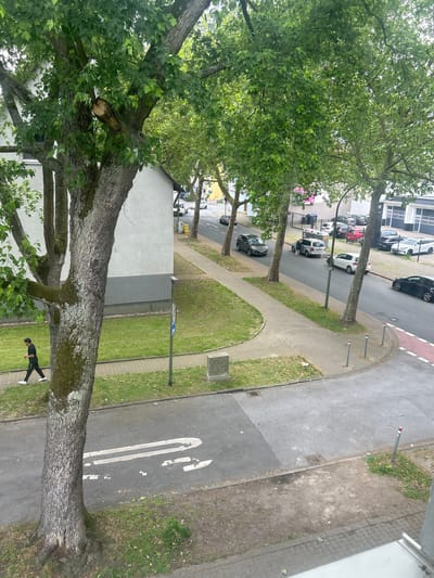 The image shows a street scene in Gelsenkirchen, Germany, featuring mature trees lining the sidewalk and road. A lone individual is walking on the sidewalk in the foreground, dressed in black athletic wear and white sneakers. The road has a visible lane marking and a pedestrian crossing. Several parked cars are visible on the street, as well as parts of buildings, including what appears to be a residential building and a commercial or industrial building with large garage doors. The environment suggests a suburban or mixed-use urban area.