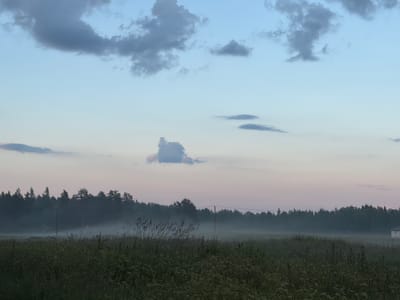 This media file depicts a serene landscape scene at dusk in Kerro Massiv, Russia. The foreground is dominated by a field of tall, wild grasses and various flowering plants, rendered in muted, dark greens and browns due to the low light.
In the mid-ground, a dense forest forms a dark silhouette against the sky, with a thin layer of fog or mist clinging to the ground and obscuring the lower parts of the trees. Several utility poles with wires are visible, suggesting the presence of human infrastructure near the edge of the wilderness. The fog creates a soft, atmospheric haze across the field and the base of the forest.
The sky transitions from a pale, dusky pink and lavender near the horizon to a soft, light blue at the top. Scattered clouds are present, some are dark and wispy, while a notable, light-colored cloud formation in the upper center of the image has an unusual, almost sculpted shape.
The overall mood is peaceful and tranquil, characteristic of a quiet evening in a rural or semi-rural setting. The time of day is clearly indicated by the soft, fading light and the color of the sky. There are no people or specific objects of focus other than the natural elements and the implied presence of a dwelling on the far right, a small, white structure barely visible at the edge of the frame. No text is visible in the image.