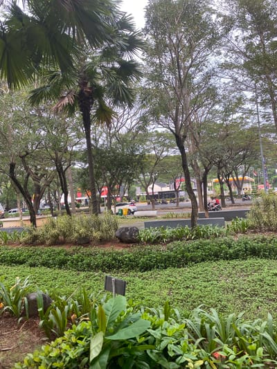 This image captures a street scene in East Jakarta, Indonesia, likely near a commercial area given the presence of businesses and a gas station. The foreground features well-maintained landscaping with lush green ground cover, interspersed with larger plants and decorative rocks. Beyond this, a wide street is visible, with several cars and motorcycles in motion. Traffic appears moderate. A prominent feature is a Shell gas station with its distinctive yellow and red canopy, situated across the street. Buildings lining the opposite side of the road include what appears to be a fast-food restaurant, identifiable by its signage and red accents, and other commercial establishments. Trees, including a tall palm tree and other deciduous varieties, form a natural canopy over parts of the scene, with their branches creating a dappled effect. The sky is overcast, suggesting a cloudy day. The overall impression is one of an active urban environment with a focus on maintaining green spaces alongside commercial development.