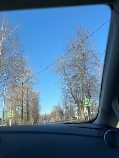 The image depicts a street scene in Maksimkovo, Russia, viewed from inside a vehicle looking through the windshield. The upper portion of the frame is dominated by a clear, bright blue sky. The lower foreground shows the vehicle's dark dashboard and a portion of the right A-pillar. A paved road, appearing to be two lanes wide, recedes into the distance, with several vehicles visible in the far distance traveling away from the camera's perspective. Bare deciduous trees, stripped of their foliage, line both sides of the road, with multiple streetlights interspersed among them. Overhead power lines traverse the upper mid-section of the scene. Two identical yellow square road signs, each featuring a black border and a white pedestrian symbol indicating a pedestrian crossing, are visible: one on the left side of the road and another on the right. A single individual, dressed in blue outerwear, is observed walking on the right side of the road in the distance, past the pedestrian crossing sign. Partially obscured buildings are visible behind the trees and along the road edges.