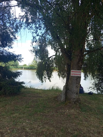 The image depicts a natural outdoor scene, likely near the city of Azannes-et-Soumazannes, France, featuring a body of water, vegetation, and a large tree. In the foreground, a substantial tree trunk is visible, with a red and white sign attached to it that reads "BAIGNADE INTERDITE," indicating that swimming is prohibited. To the right of the tree, a person is seated on the grassy bank facing the water, wearing a dark hooded jacket with "HONDA RACING" visible on the back. A black backpack or bag is placed on the ground next to them. The water body, possibly a pond or lake, occupies the mid-ground of the image. The background consists of dense green vegetation, reeds along the water's edge, and trees under a partly cloudy blue sky. The overall environment suggests a peaceful, albeit restricted, recreational area.