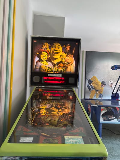The image shows a Shrek-themed pinball machine and a hockey poster on a wall. The pinball machine features the characters Shrek, Fiona, and Donkey. The text on the machine is partly in Russian and states the game is only for children over 10 years old with an adult companion. The pinball machine itself appears to be manufactured by Stern, and the posters are located in Bansko, Bulgaria.