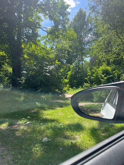 The image depicts a view from inside a vehicle, looking towards a sun-dappled green landscape. A side-view mirror is visible in the foreground, reflecting a portion of the car and the road ahead. The road appears to be unpaved and winds through a wooded area with dense green foliage. The trees are tall and leafy, with sunlight filtering through them, creating bright patches on the ground. Some litter is scattered on the grassy verge beside the road, including what appears to be a crumpled white item and an orange wrapper. The sky is blue with some white clouds. The overall impression is one of a scenic, natural environment, likely a park or a rural road on a bright, sunny day in Vasilyevo, Russia.