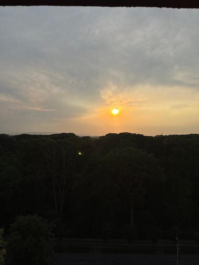 This media file depicts a scenic view of a forest at dusk, with the sun setting in the sky. The image is oriented vertically, with the left side showing the sky and the right side showing the dense forest and a road.
**Subjects:** The primary subjects are the natural landscape elements: a sunlit sky with clouds, a dark and dense forest, and a road. There are no people or man-made objects, apart from the road and what appears to be a utility pole with wires running parallel to the road.
**Activity or Event:** The image captures the transition from day to night, with the setting sun casting a warm glow. The overall impression is one of peacefulness and natural beauty.
**Notable Details:**
* **Time of Day:** The presence of the setting sun indicates it is dusk or early evening. The sky is illuminated with warm, golden hues, suggesting the sun is low on the horizon.
* **Weather:** The sky has some clouds, but the overall impression is of a clear or partly cloudy evening.
* **Location Cues:** The dense forest and the presence of a road and utility lines suggest a rural or semi-rural setting. While the prompt specifies Kolomyia, Ukraine, there are no explicit visual cues within the image to confirm this location.
* **Emotions:** The image evokes a sense of tranquility, serenity, and natural beauty. The warm light of the setting sun can also convey feelings of warmth and nostalgia.
**Visible Text:** There is no visible text in the image.